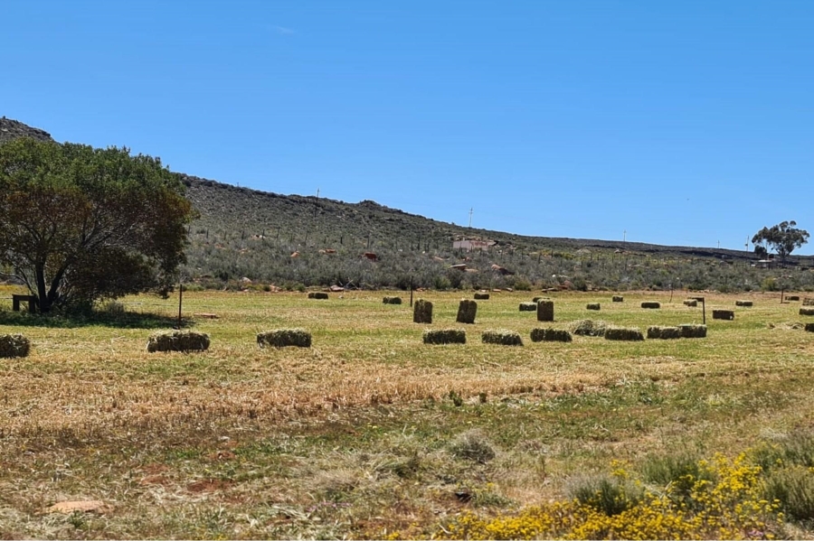 0 Bedroom Property for Sale in Touws River Rural Western Cape
